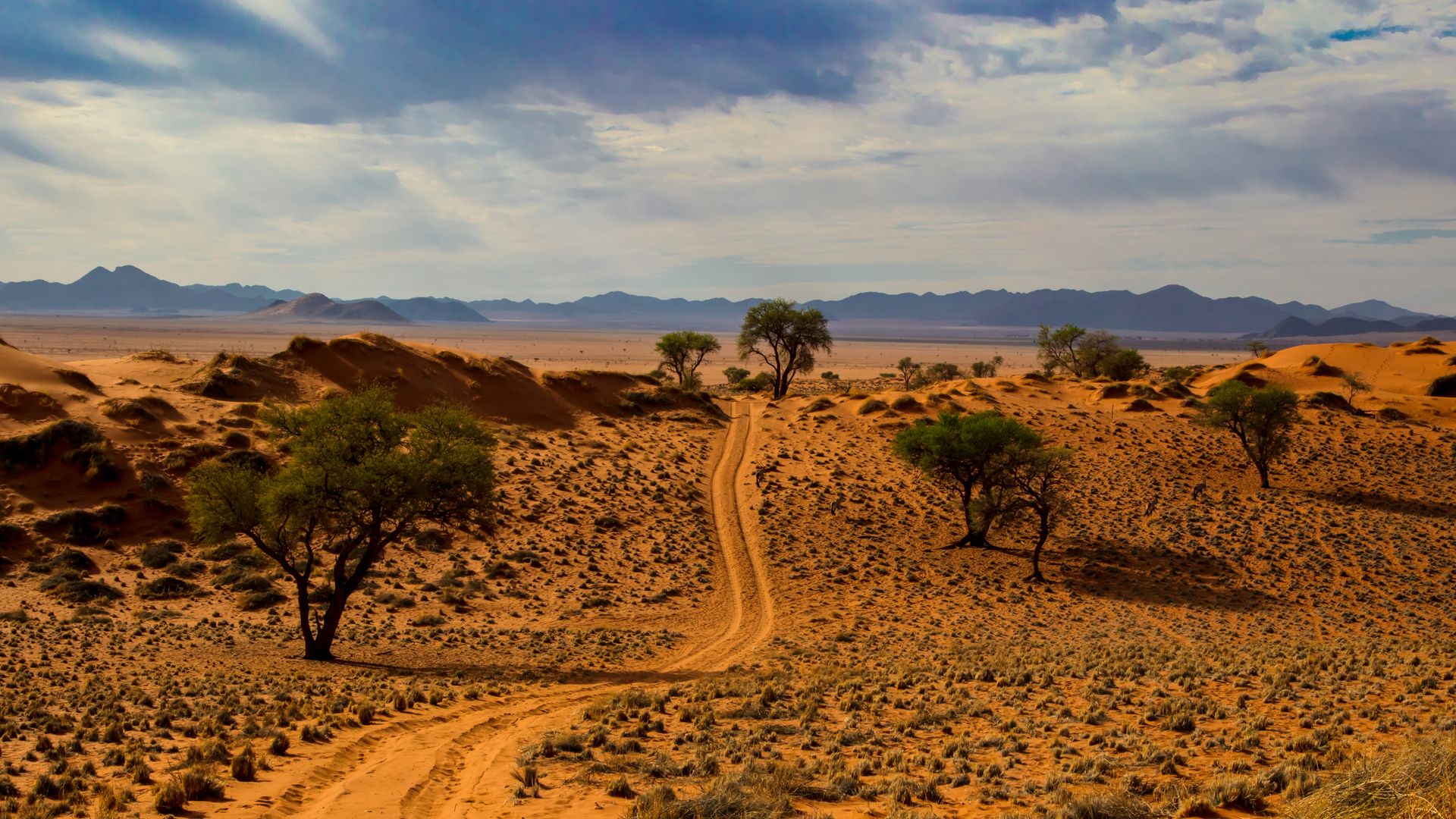 Reisinformatie Namibie | Matoke Tours